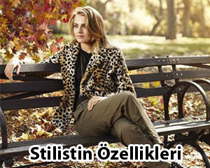 Stilistlik Özellikleri