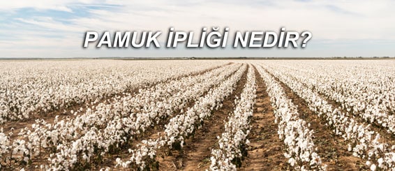 Pamuk İpliği 2024 Fermuar